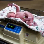 8lbs 5oz