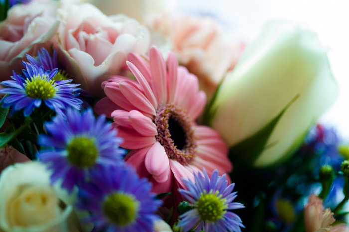 Flowers from Aunt Ginny