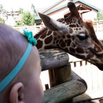 Maisie and a Giraffe